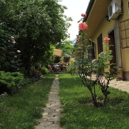 Apartman Brankova Kuca Carloviţ Exterior foto