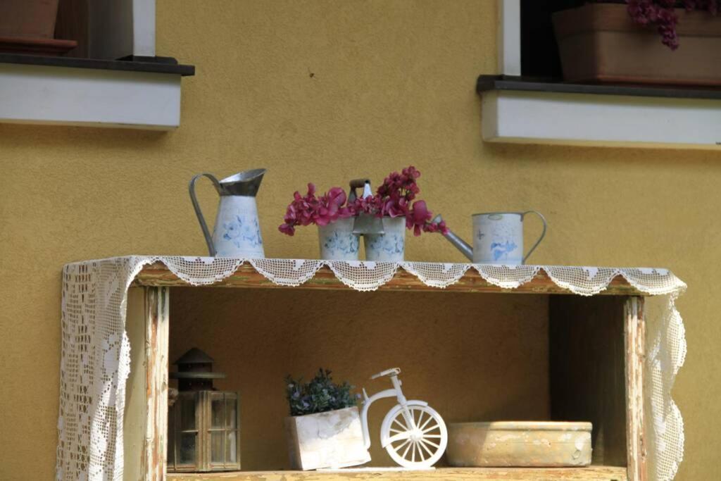 Apartman Brankova Kuca Carloviţ Exterior foto