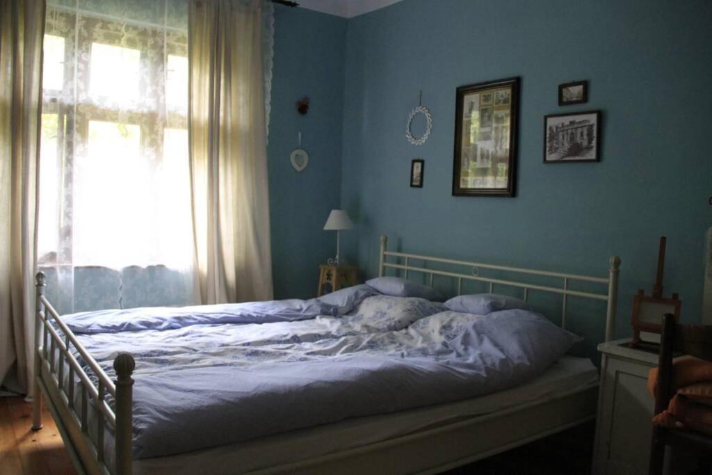 Apartman Brankova Kuca Carloviţ Exterior foto